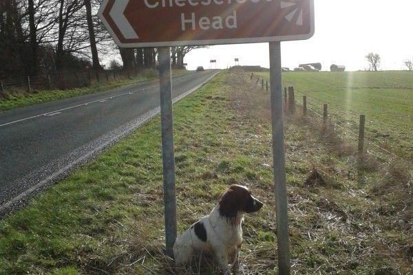 Cheesefoot Headphoto