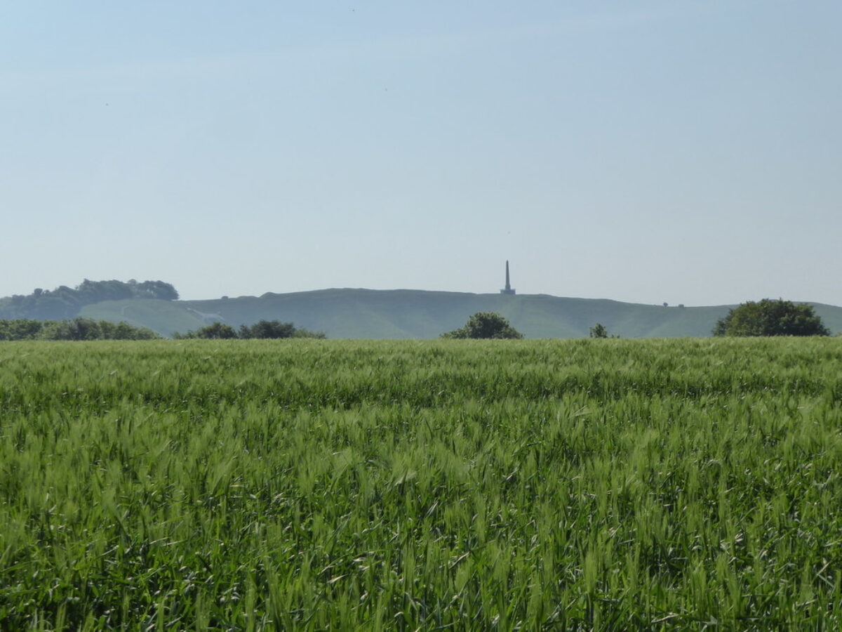 Cherhill White Horse large photo 3