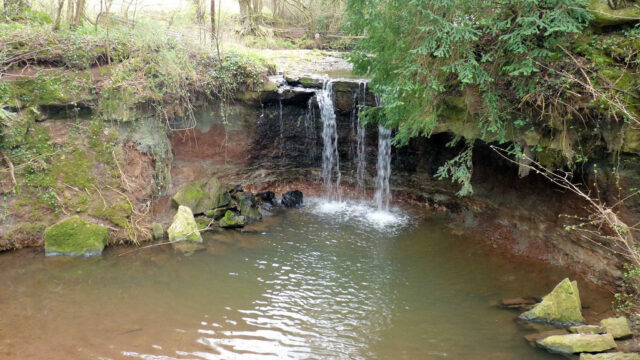 Dog walk at Chew Stoke Waterfall