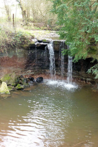 Dog walk at Chew Stoke Waterfall photo