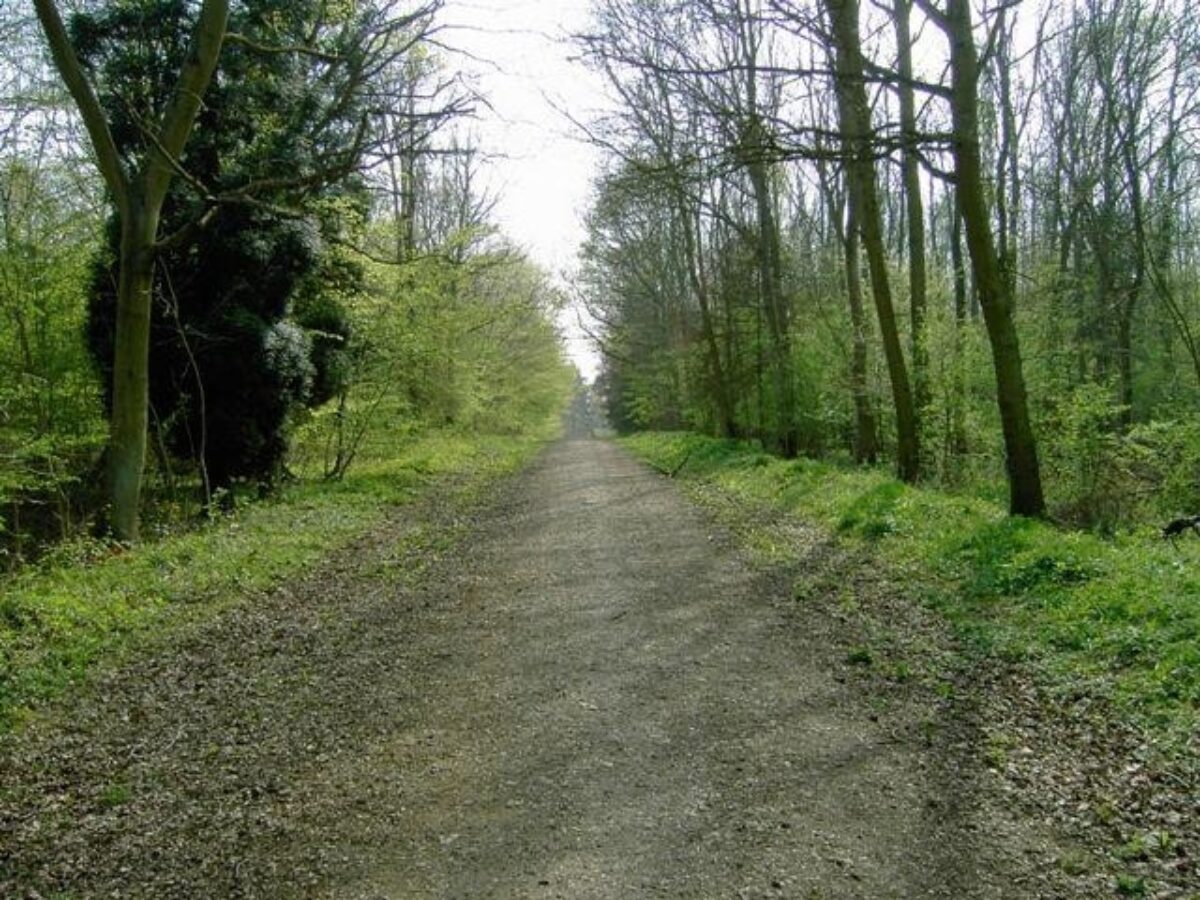 Chicksands Wood large photo 1