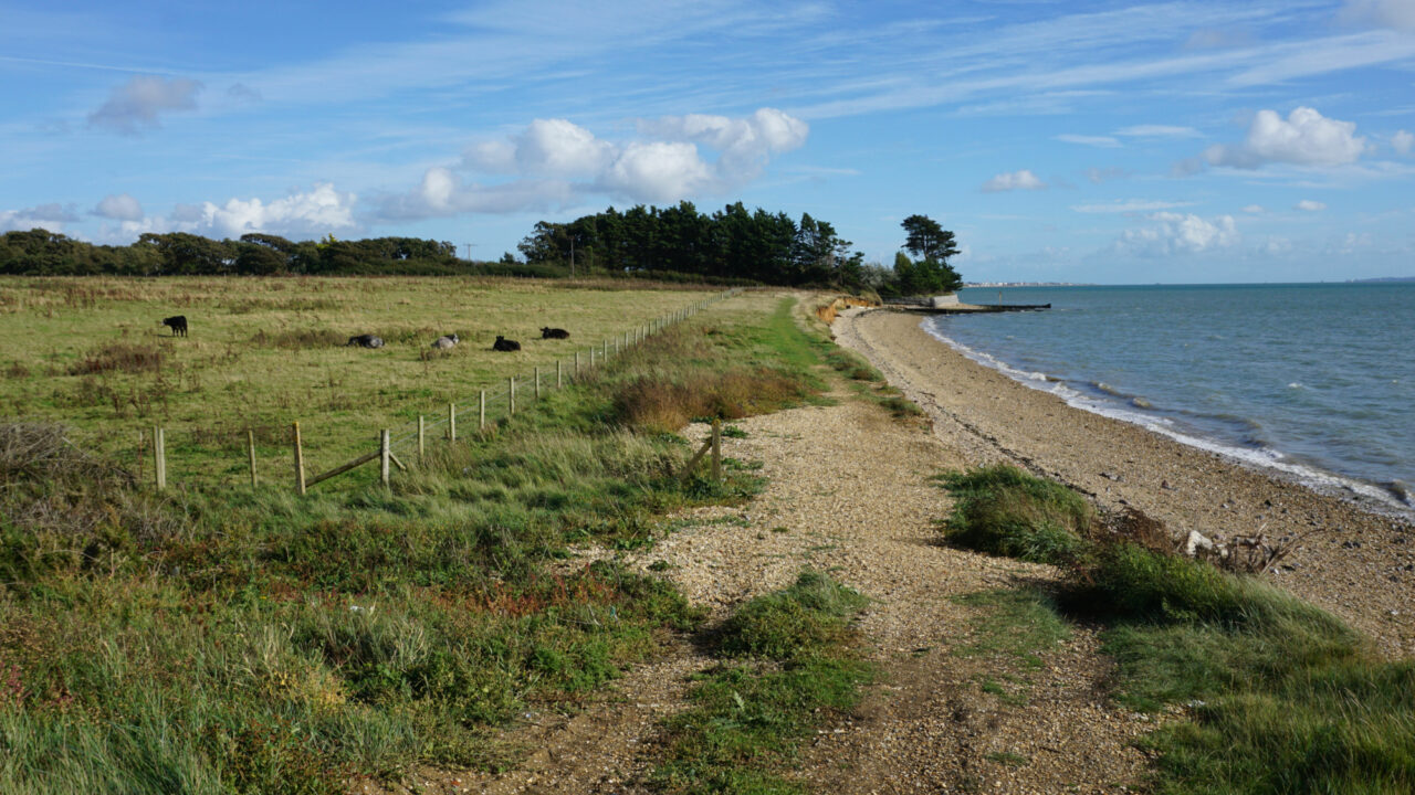 Dog walks in Hampshire · Walkiees