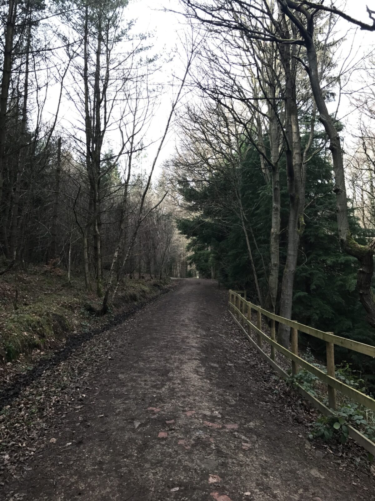 Chopwell Woods large photo 2