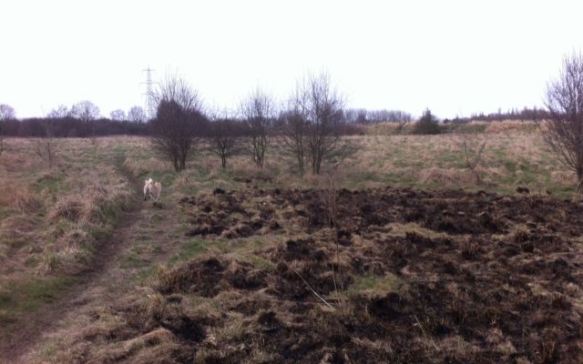Chorlton To Sale Waterpark Dog walk in Lancashire