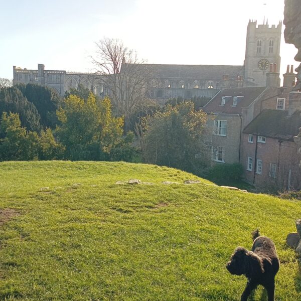 Christchurch photo 1