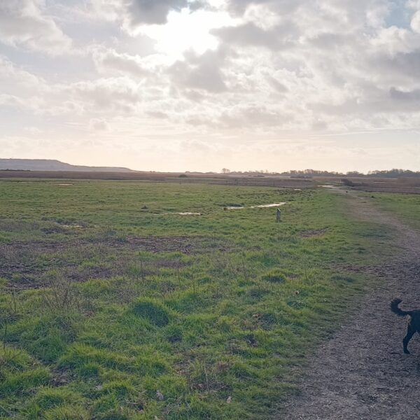 Christchurch photo 2