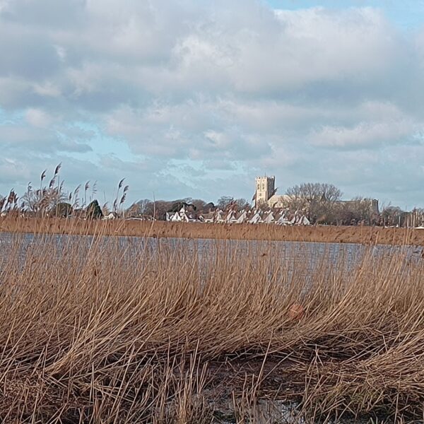 Christchurch photo 3