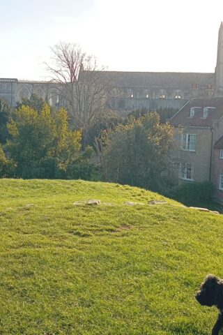 Dog walk at Christchurch photo