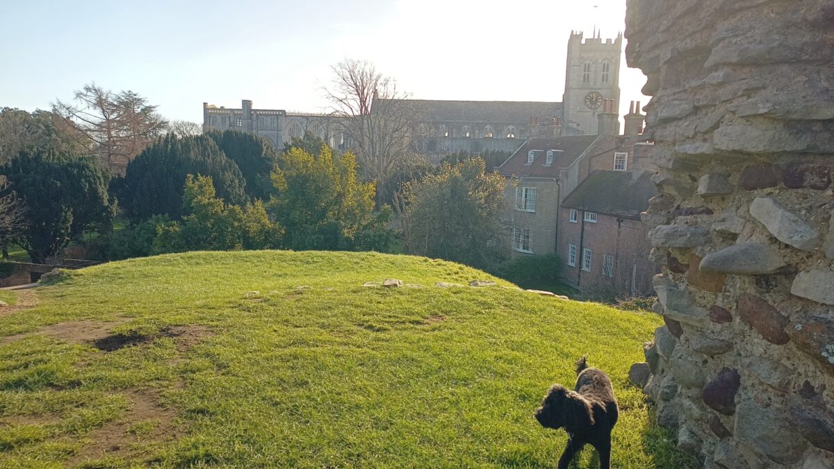 Christchurch large photo 1