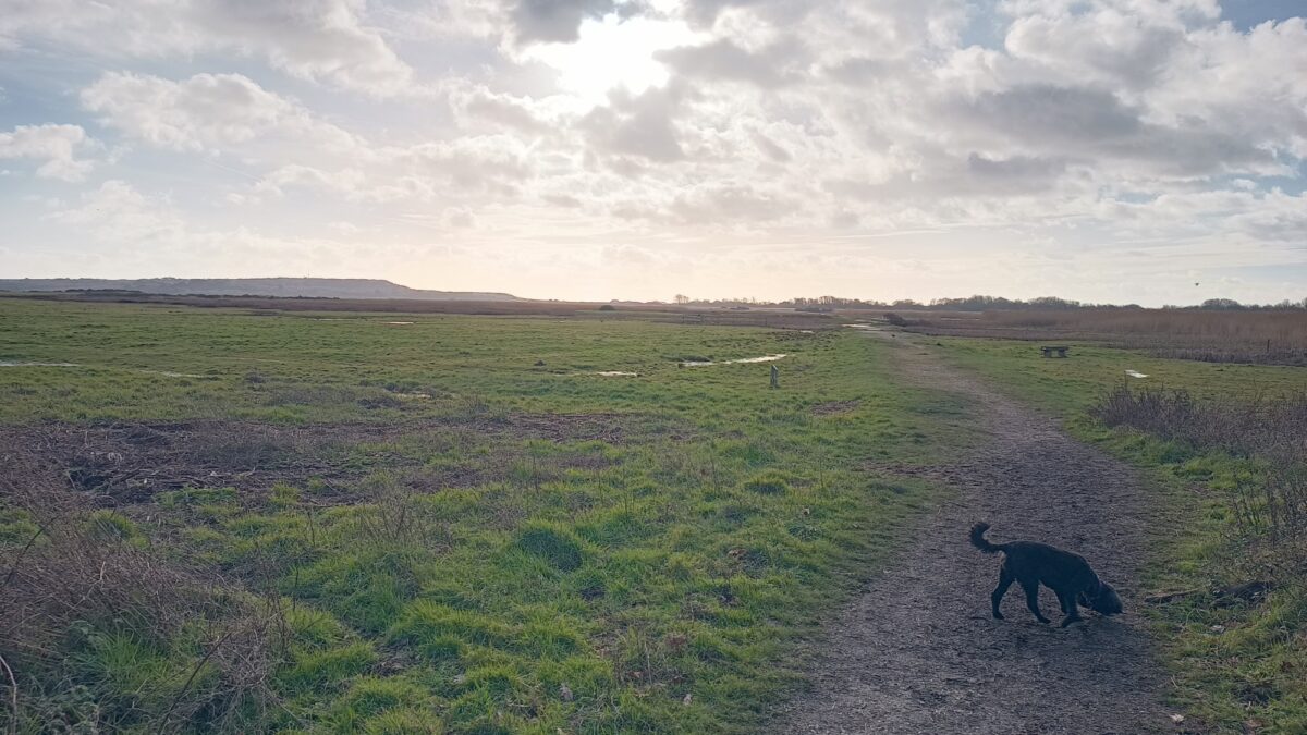 Christchurch large photo 2