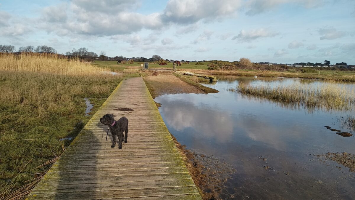 Christchurch large photo 4