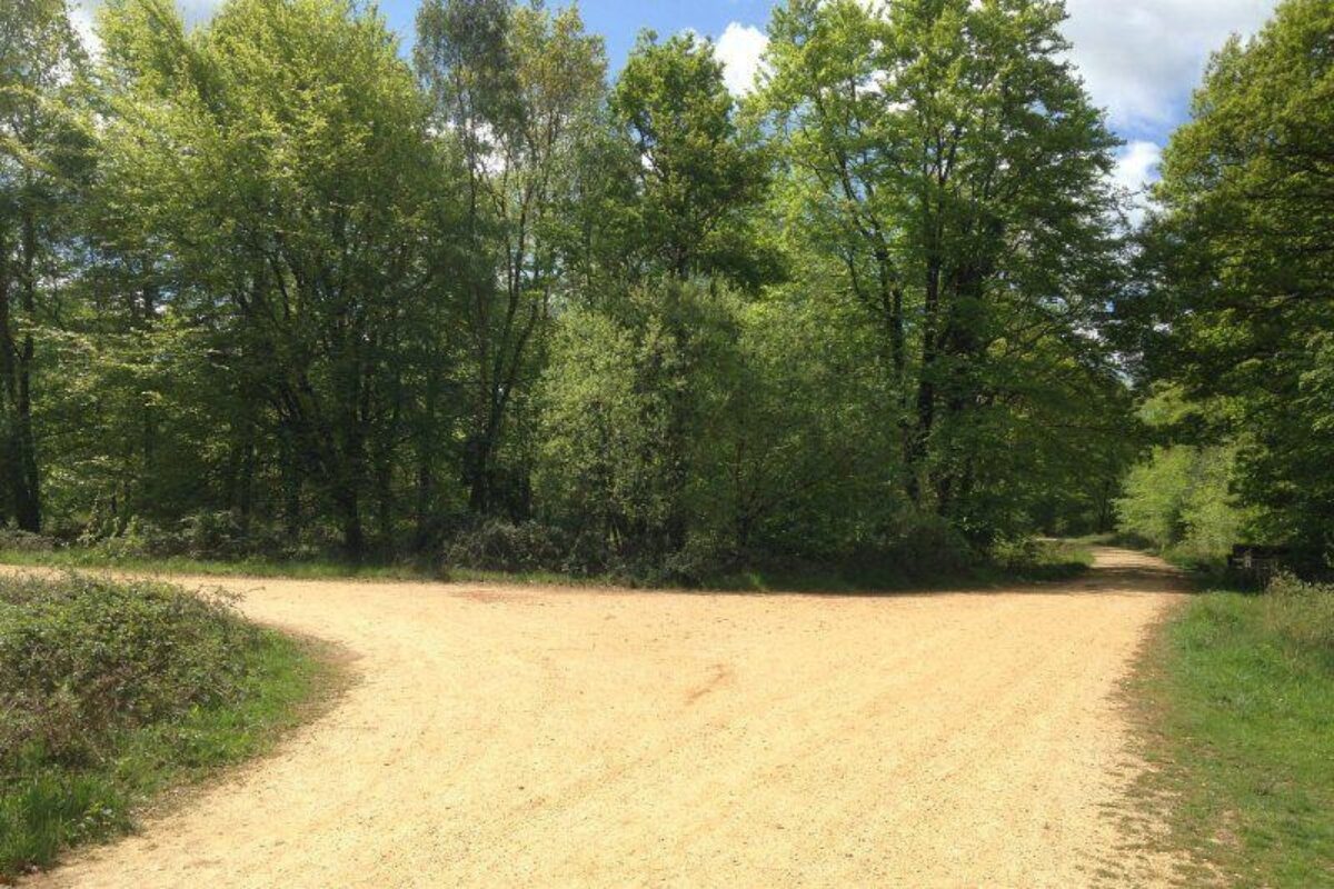 Church Place Inclosure, Ashurst large photo 3