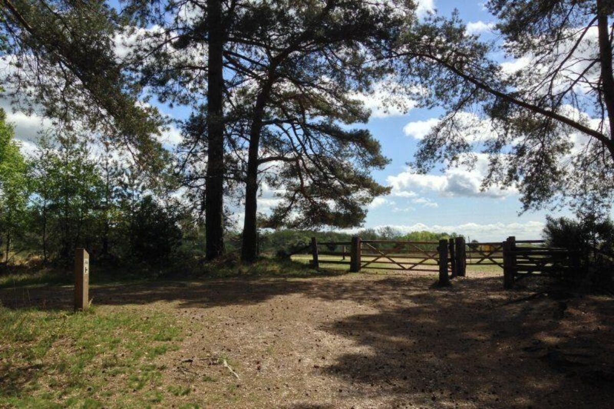 Church Place Inclosure, Ashurst large photo 6