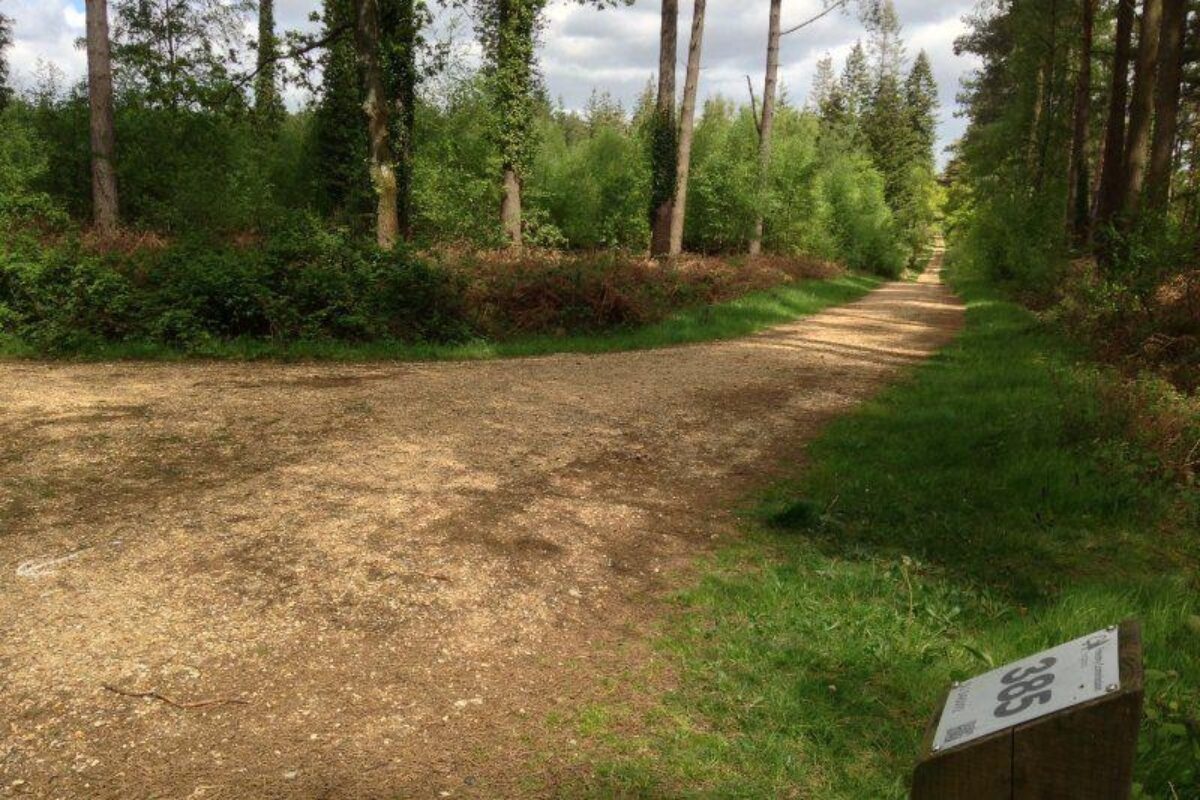 Church Place Inclosure, Ashurst large photo 8