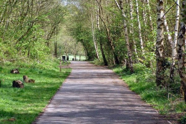 Dog walk at Clayton Vale River Medlock Manchester Greater