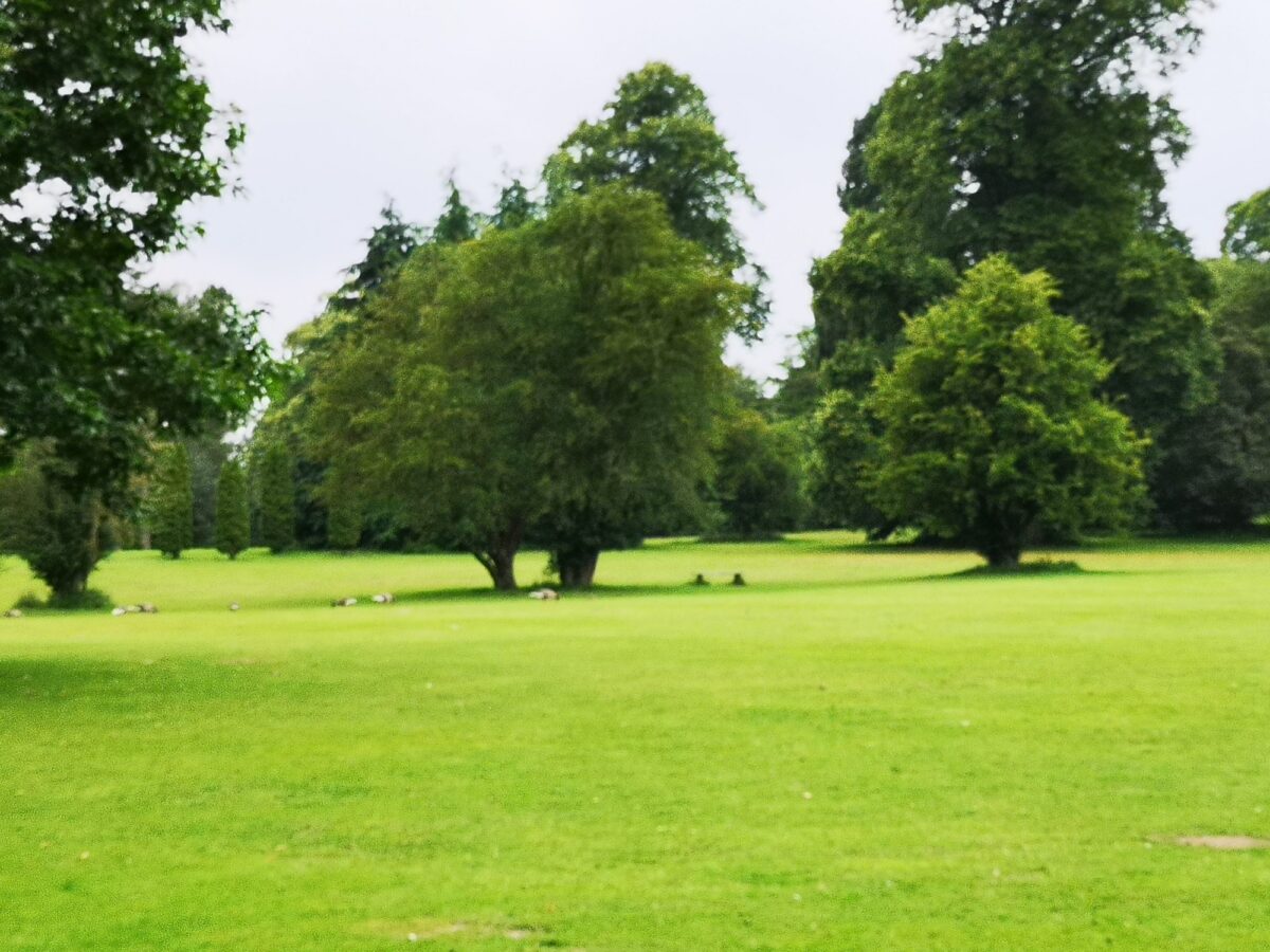 Clumber Park large photo 1