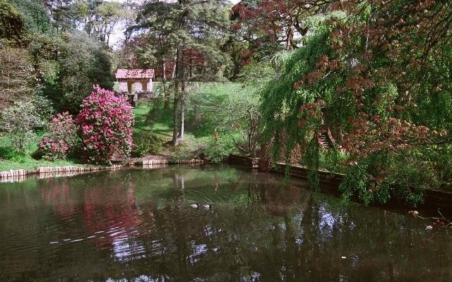Clyne Gardens, Mayals, Swansea Dog walk in Swansea