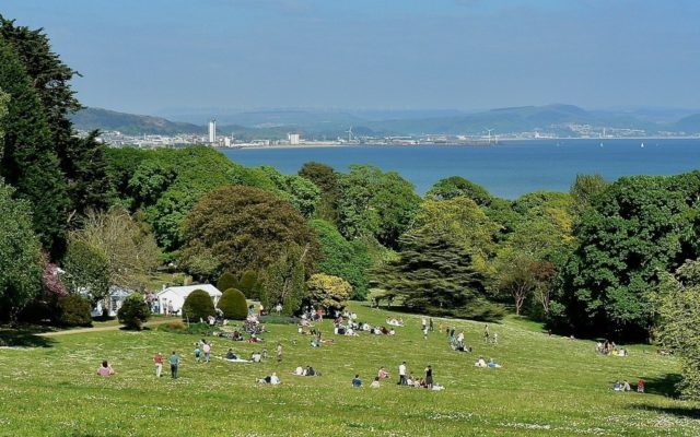 Clyne Gardens, Mayals, Swansea Dog walk in Swansea
