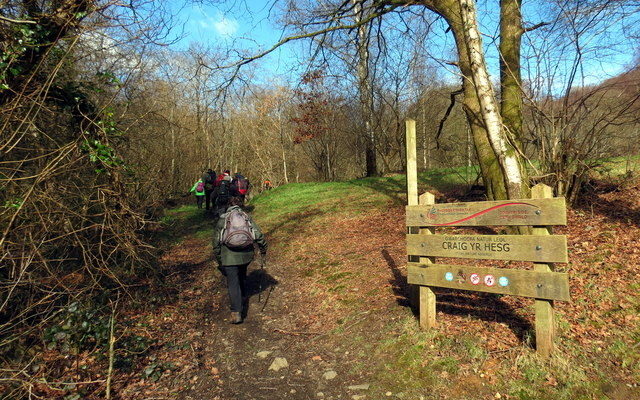 Coed Craig Yr Hesg Dog walk in Rhondda Cynon Taff