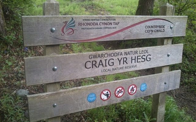 Coed Craig Yr Hesg Dog walk in Rhondda Cynon Taff