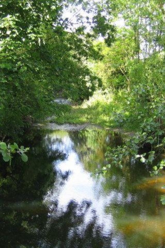 Dog walk at Colney Heath · Hertfordshire · Walkiees