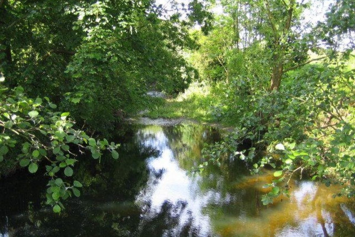 Dog walk at Colney Heath · Hertfordshire · Walkiees