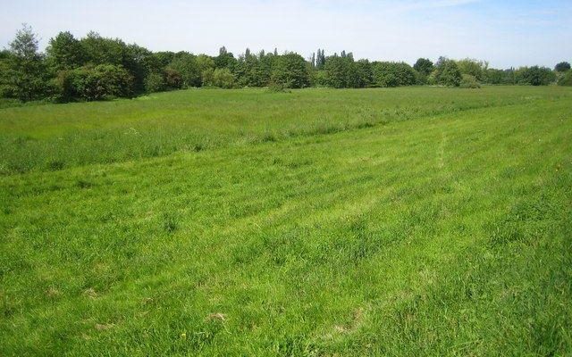 Colney Heath Dog walk in Hertfordshire