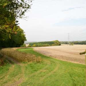 Copt Hill