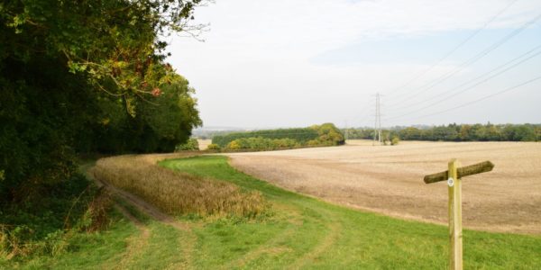 Copt Hill