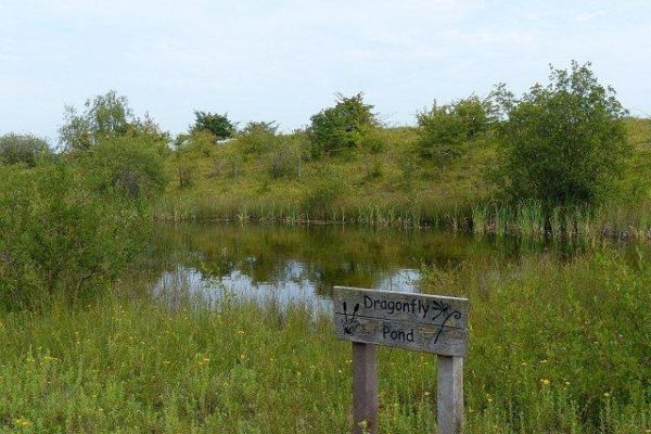 Cosmeston Park And Lakesphoto