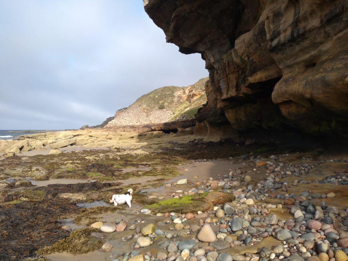 Covesea Caves large photo 2