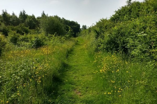 Cowpen Bewley Woodland Parkphoto