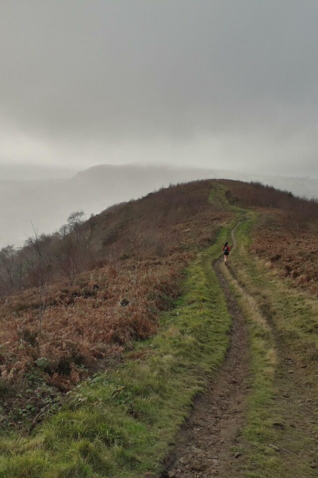 Dog walk at Craig y Allt · Caerphilly · Walkiees