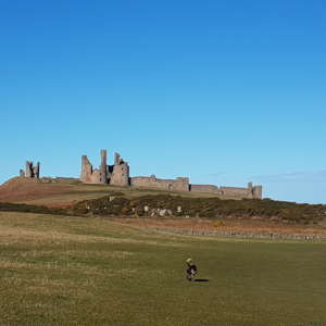 Craster to Dunstanburgh Castle