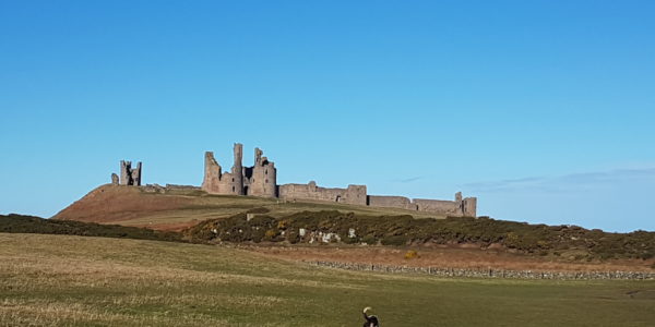 Craster to Dunstanburgh Castle