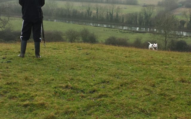 Crick Hill Dog walk in Northamptonshire