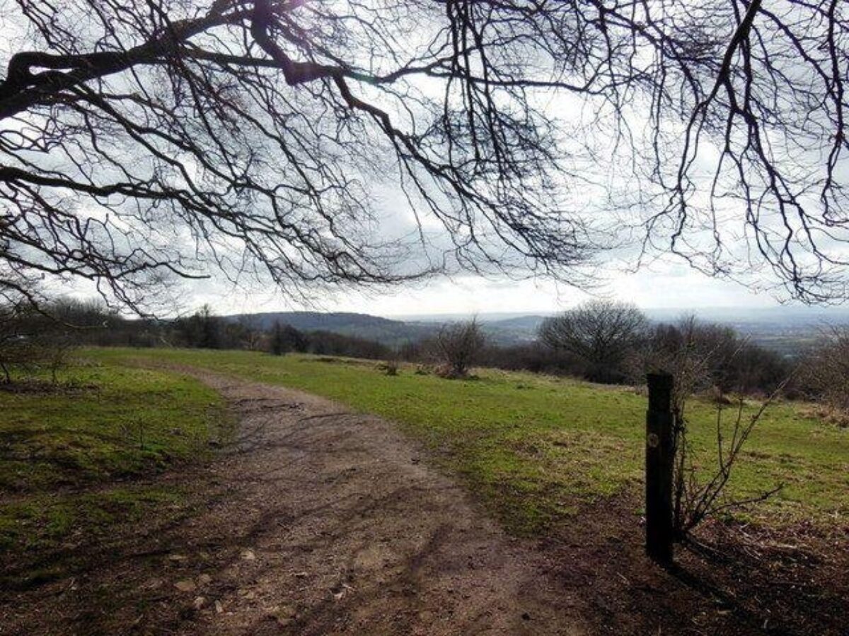 Crickley Hill Country Park large photo 3