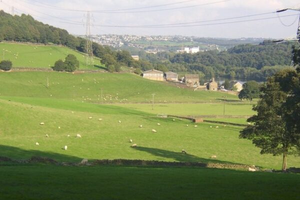 Cromwell Bottom Nature Reservephoto