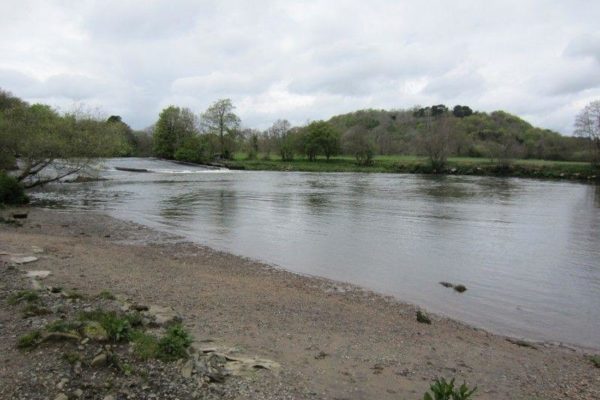 Dartington To Totnes Along The River Dartphoto