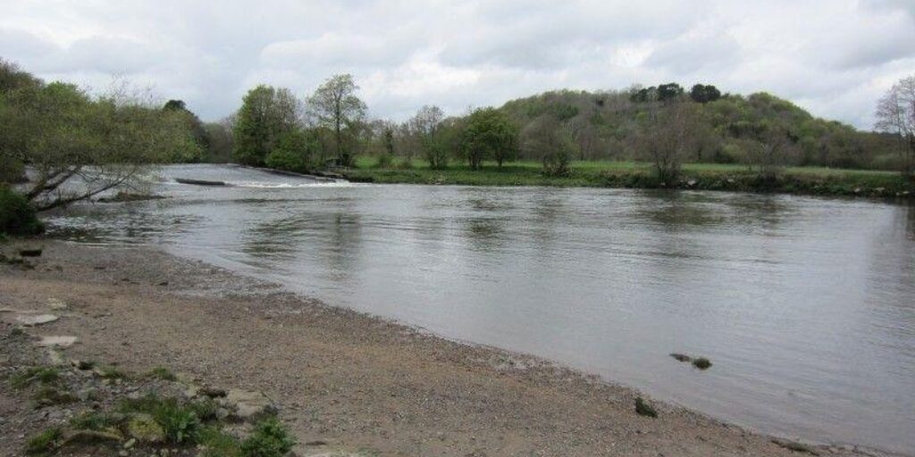 Dog walk at Dartington To Totnes Along The River Dart · Devon · Walkiees