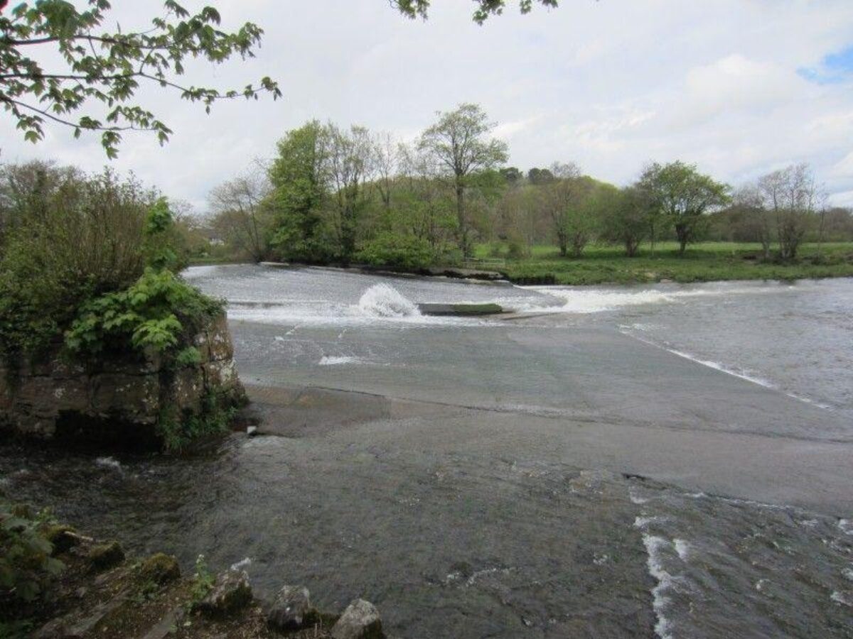 Dartington To Totnes Along The River Dart large photo 2