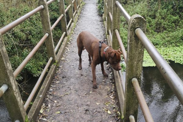 Denham Country Parkphoto