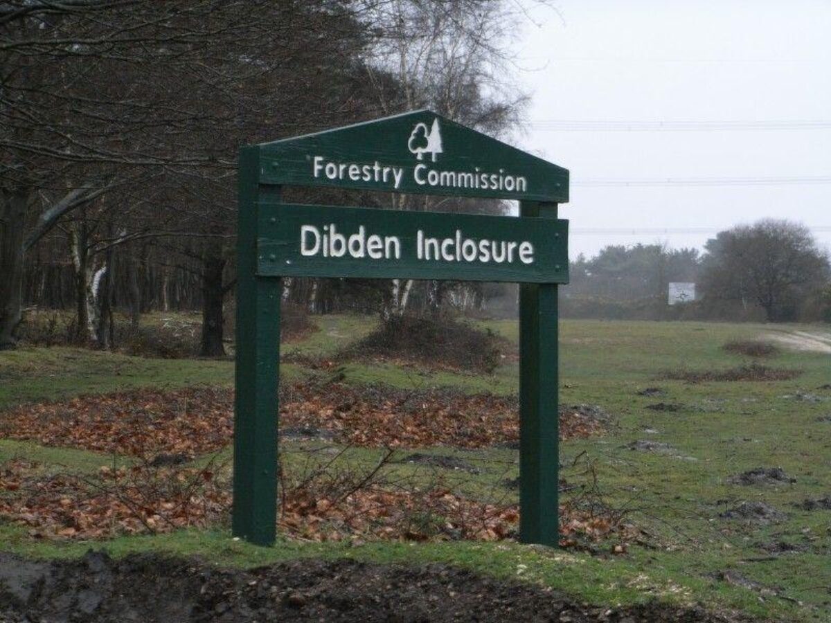 Dibden Inclosure (New Forest) large photo 9