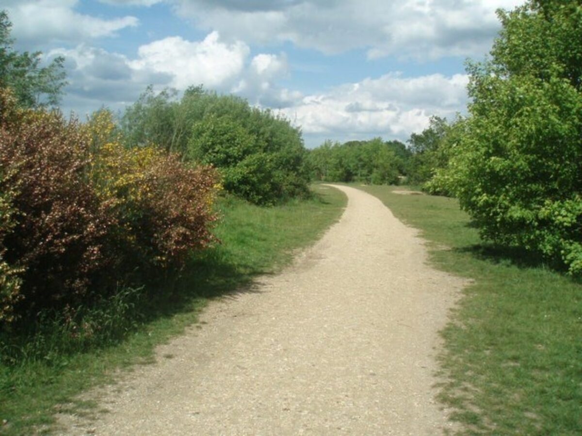 Dinton Pastures Country Park large photo 3