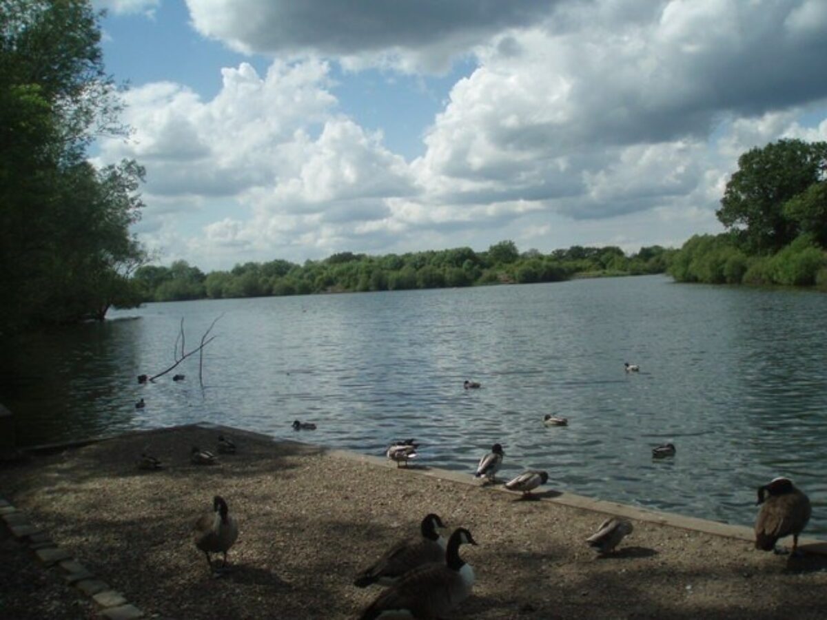 Dinton Pastures Country Park large photo 4