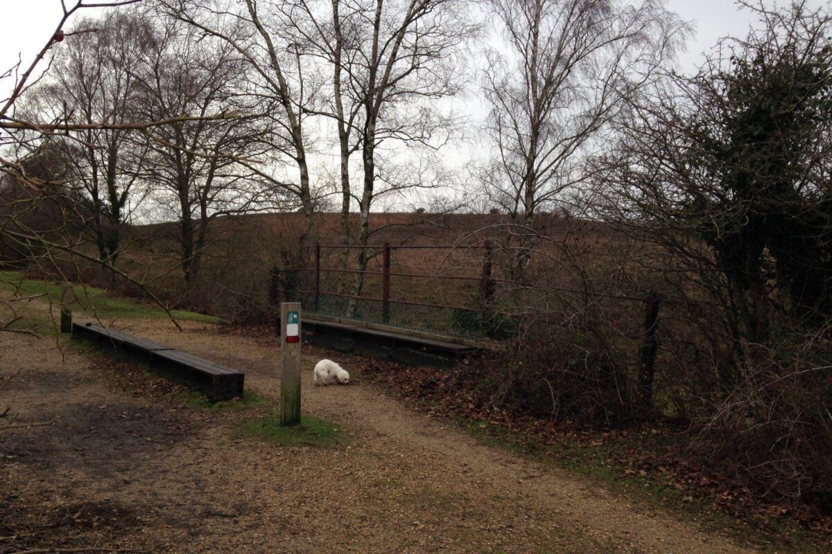 Disused Railway At Burley large photo 3