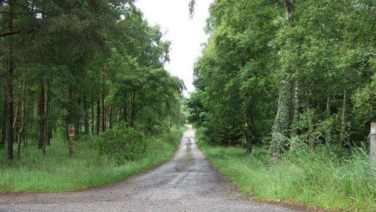 Dog walks in Aberdeenshire · Walkiees