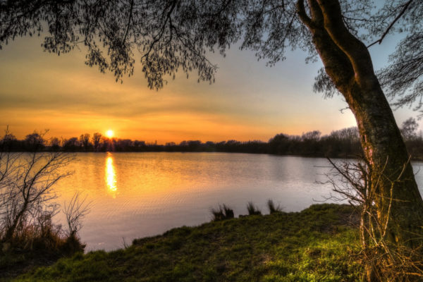 Ducklington Lake, Witneyphoto