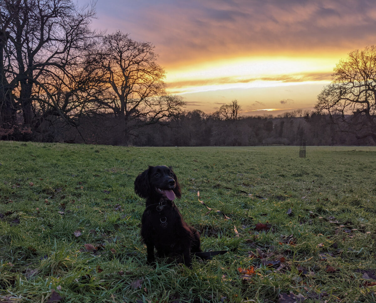 Earlham Park large photo 1