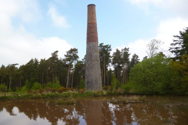 East Harptree Forestphoto